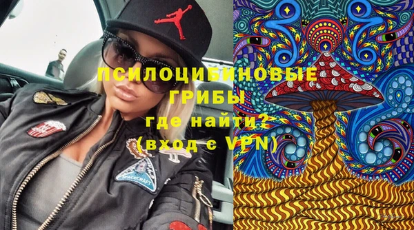 2c-b Рославль