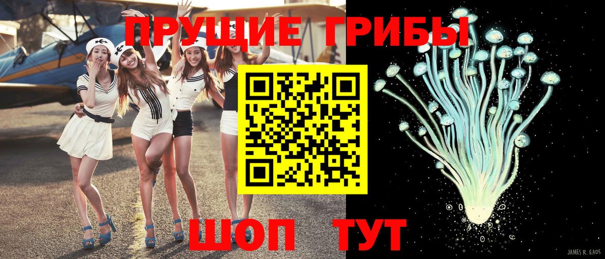 Галлюциногенные грибы прущие грибы Чернушка